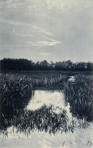 15294 Gezicht op een sloot met weilanden te Westbroek. N.B. De gemeente Westbroek is per 1 januari 1957 bij de gemeente ...